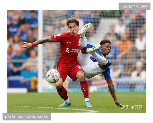 背景报道：葡萄牙经纪网络如何将拉丁技术流球员批量输送至英超